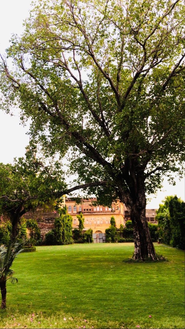 Saba Haveli Hotel Джайпур Екстериор снимка